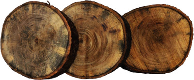 Purnima S Round Reversible Wood Coaster Set(Pack of 3)