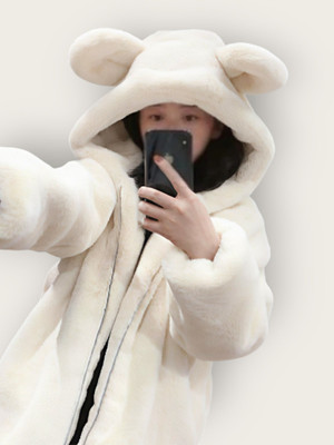 sheen ellision Full Sleeve Self Design Women Jacket