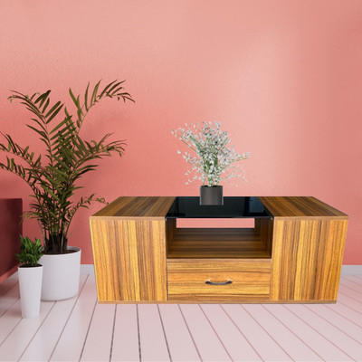 SPECIALITY PANELS MONALISA glass table with drawer storage Glass Coffee Table(Finish Color - Wild Wood Dark texture, Knock Down)
