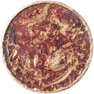 oldcoinwala Rare Shifting Error 5 Rupee 2015 Republic India Coin_Unique excellent condition Modern Coin Collection(1 Coins)