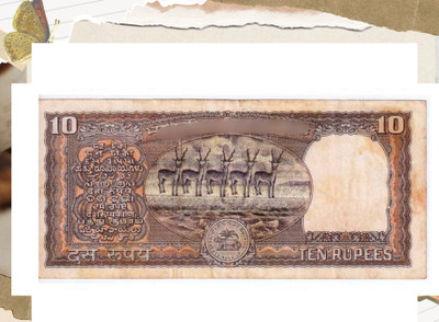 Parvati Heritage Collection 10 Rupee 5 Deer Black Note Issue Note Collector Choice Modern Coin Collection(1 Coins)