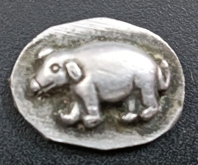 Sanjay Online Store ANCIENT TIMES PIG COIN Ancient Coin Collection(1 Coins)