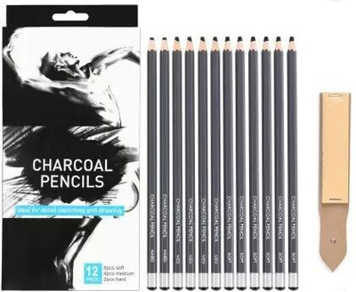 Aashwi Art Charcoal Pencil-Pack of (6XSoft, 4XMedium & 2XHard) & Cleaning Paper Stumps Professional Art Sketching Shaped Color Pencils(Set of 13, Multicolor)