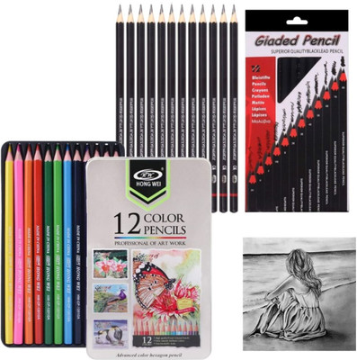 Wynhard Professional Art & Sketching Kit 12 Colour Pencils, Graphite Pencils for Artists Hexagonal Shaped Color Pencils(Set of 24, Multicolor, Black)