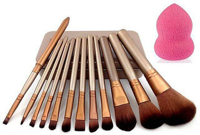 Pohok Makeup Brushes Set Of 12 + 1 Beauty Blender Puff(13 Items in the set)