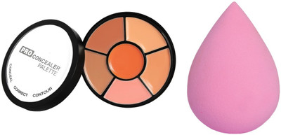 Maryville concealer palette with beauty blender multi use pack of 2(2 Items in the set)