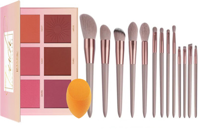 Sh.Huda 6 Colors Touch Blusher Palette High Quality and 13-Piece Brown High-Quality Makeup Brush Set with Portable Pouch and Sponge(15 Items in the set)