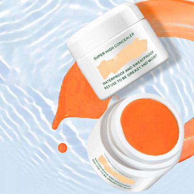 REIMICHI High Concealer Super Water and Sweat Resistant  Concealer(orange, 12 g)