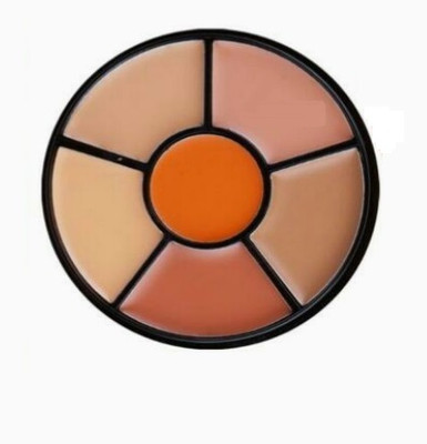 Emijun Concealer Palette WaterProof Long Lasting  Concealer(MULTI, 2 g)