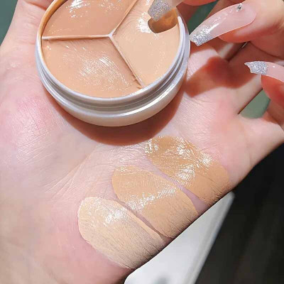 GULGLOW99 3-in-1 Concealer Cream Multi-Color Coverage for Dark Circles, Pores & Blemishes Foundation(MULTICOLORS, 10.5 g)