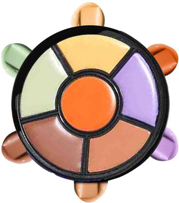 Emijun Pro 6 Concealer & Corrector Palette Concealer(MULTI COLOUR, 2 g)