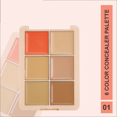 WOONGMI Light Weight Full Coverage with Matte finish  Concealer(Multi, 12 g)