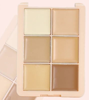 tanvi27 6 IN 1 flawless base with super coverage cream conceale Concealer(Multi Color, 12 g)