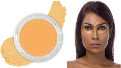 AFARAXIA Water-proof Full Coverage Concealer Cream Makeup for Women Concealer(303, 6 g)