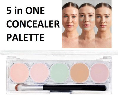 WOONGMI 5 In 1 Concealer Contour And foundation Makeup Foundation(MULTICOLOR, 16 ml)