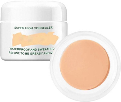 AFARAXIA High Definition Concealer corrector Contour  Concealer(ivory, 10 g)