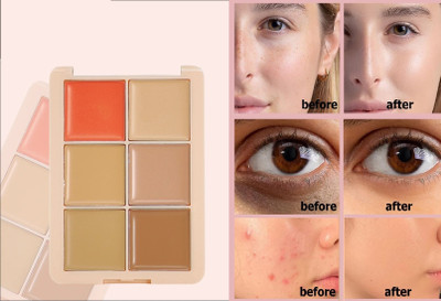 WOONGMI Concealer for Face Makeup | Medium to High Coverage | Crease Resistant  Concealer(Multi, 12 g)
