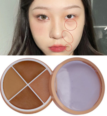 BLUEMERMAID PROFESSIONAL MAKEUP 4 Color Correcting Concealer Palette Concealer(MULTI COLOR, 12 g)