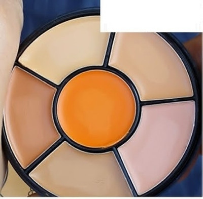 CATERINACHIARA Full Coverage All Ultra Finish Concealer Palette Concealer(Multicolor, 2 g)