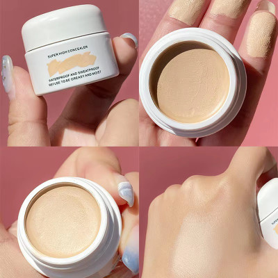 GFSU - GO FOR SOMETHING UNIQUE Concealer for Face Makeup | Medium to High Coverage Concealer(ivory, 12 g)