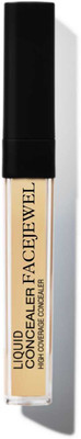 Facejewel Smooth Texture Liquid Concealer High Coverage  Concealer(Shade-6, 8 g)
