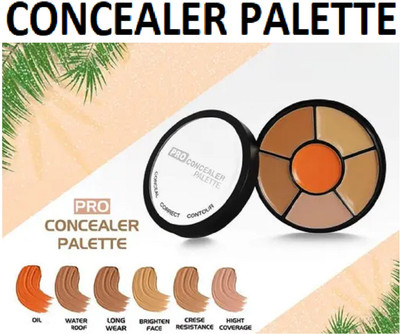 nn HIGHT AND LOW SKIN TONE BEST SOFT SMOOTH NEW CONCEALER PALETTE PACK OF 1 Concealer(MULTI COLOR, 15 g)