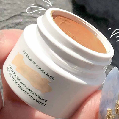 WOONGMI Full Coverage Concealer(Chin, 12 g)