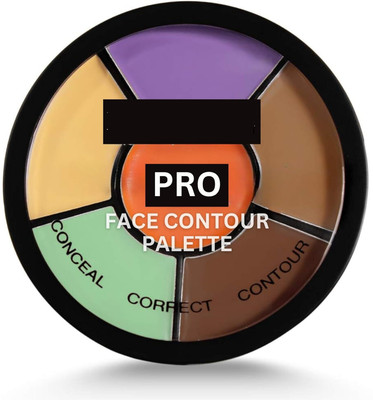 K.Y.L.Plus 6-in-1 multifunctional palette for concealing, correcting, and contouring Concealer(Multicolour, 8 g)