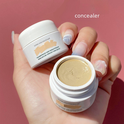 WOONGMI Full Coverage Color Corrector Dark Circles Face Skin Makeup Light Concealer(CHIN, 12 g)