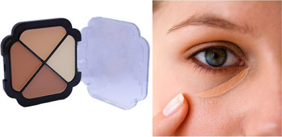 SEUNG Instant Perfection Concealer Palette with Waterproof Radiance Concealer(MULTICOLOUR, 10 g)