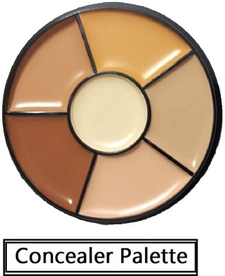 Neycare waterproof concealer palette long lasting easy to sue pack of 1 Concealer(MULTI COLOR, 10 ml)