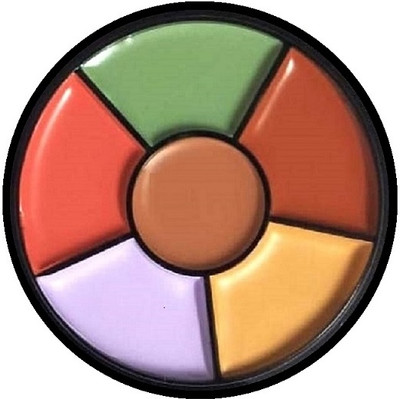nn 6 shade concealer pallete waterproof and creamy texture pack of 1 Concealer(Multicolor, 18 g)