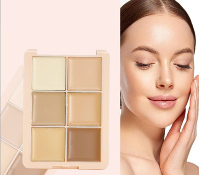 WOONGMI Color Concealer Long Lasting & Waterproof  Concealer(Multi, 12 g)