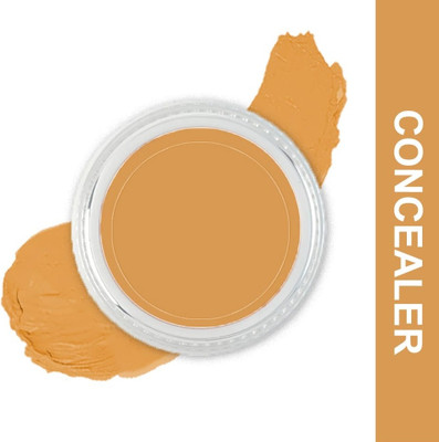 REIMICHI Full Coverage & Long-Lasting | Lightweight & Blendable Concealer(chin, 6 g)
