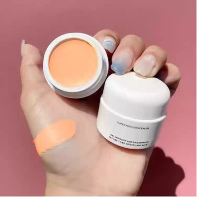 GFSU - GO FOR SOMETHING UNIQUE High Concealer Super Water and Sweat Resistant  Concealer(begin, 12 g)