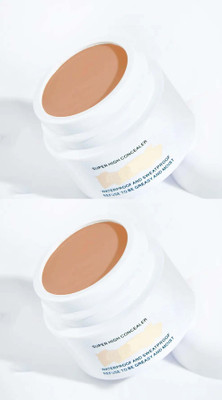tanvi27 Dark Circle Freckle Waterproof Foundation Chin Concealer Combo Concealer(NATURAL, 12 g)