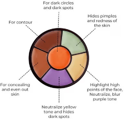 THTC Best creamy concealer for dark circles Concealer(MULTICOLOR, 2 g)