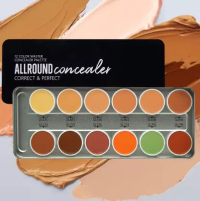 feelhigh 12 Color Professional make up base concealer palette  Concealer(MULTICOLOUR, 24 g)