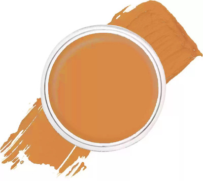 Latixmat Light Weight Full Coverage with Matte finish  Concealer(Chin, 6 g)