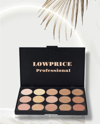 LOWPRICE PROFESSIONAL 15 Color Cream Concealer Palette Concealer 01 Concealer(shade 01, 18 g)