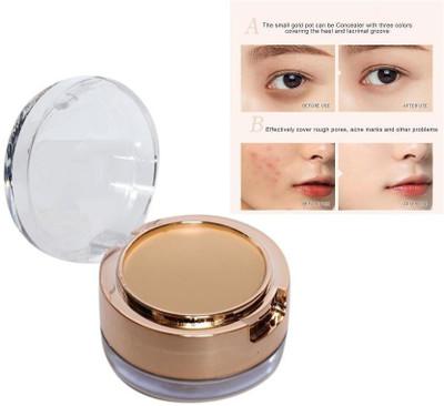 BLUEMERMAID PERFECT 2 IN 1 PRIMER CONCEALER FOR MAKEUP BASE Concealer(MULTI COLOR, 12 g)