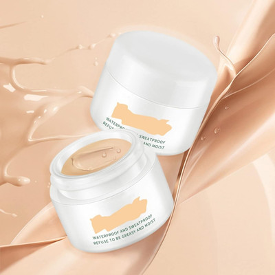 REIMICHI Full Coverage Concealer Waterproof  Concealer(NATURAL BEIGE, 12 g)