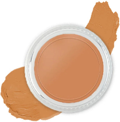 AFARAXIA Lightweight Texture Water Proof Smooth Matte Finish Concealer for Women Concealer(FS27, 6 g)