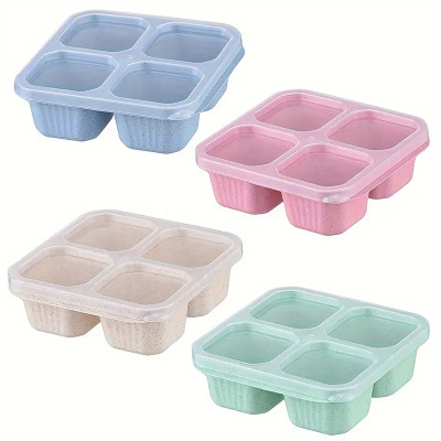 RBGIIT Spice Set Plastic(4 Piece)