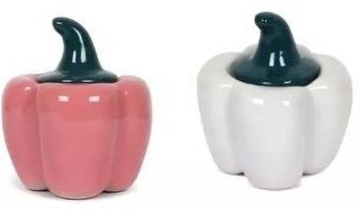 Classydesigners Spice Set Ceramic(2 Piece)