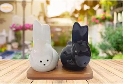 Dautaniya Salt & Pepper Set Ceramic(2 Piece)