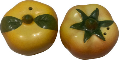 Kraftlik Handicrafts Salt & Pepper Set Ceramic(2 Piece)