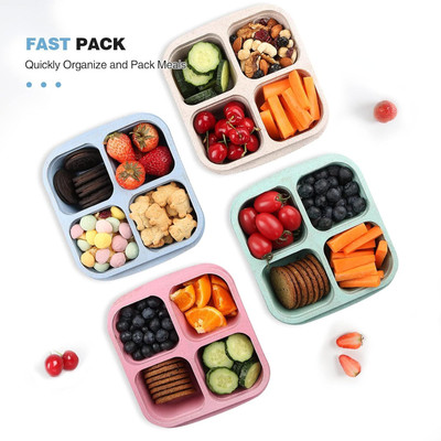 RBGIIT Spice Set Plastic(4 Piece)