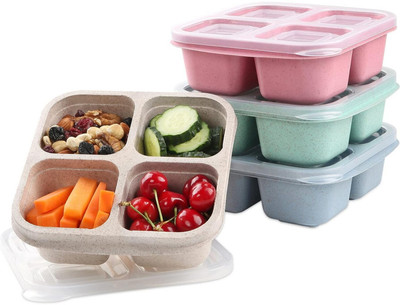 Masox Store Spice Set Plastic(4 Piece)