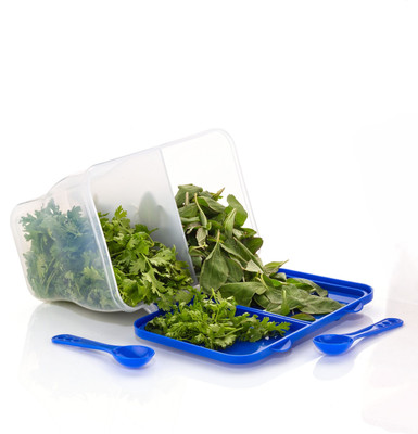 FIT 4 CHEF Spice Set Polypropylene(1 Piece)